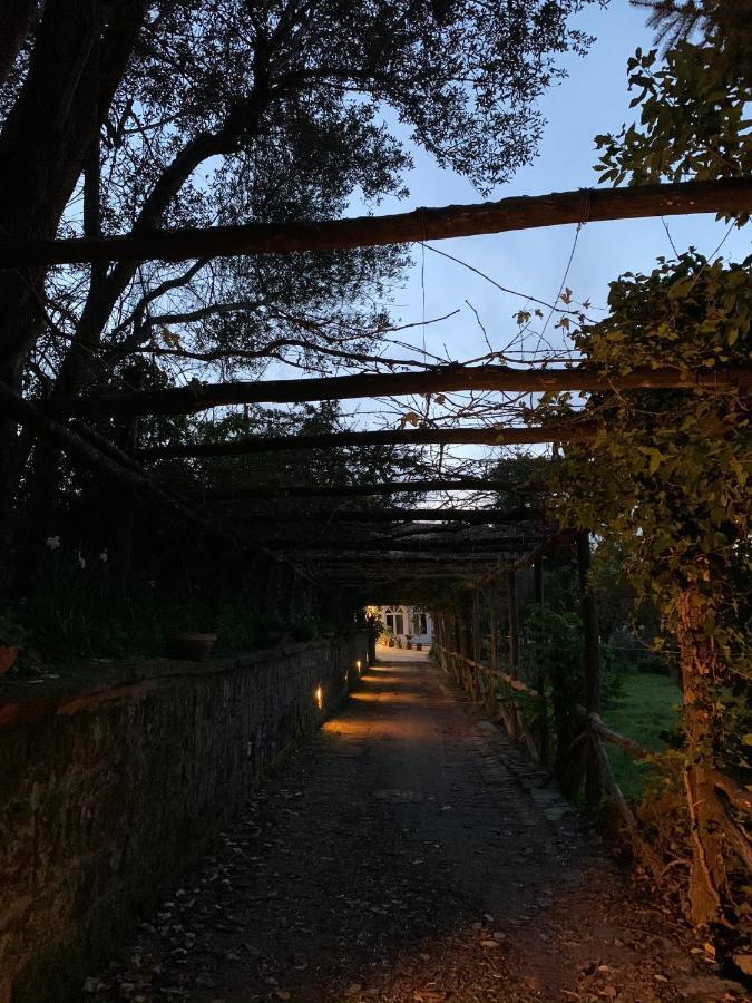 ピアーノ・ディ・ソッレント Sunrise Luxury Experience Bed & Breakfast エクステリア 写真